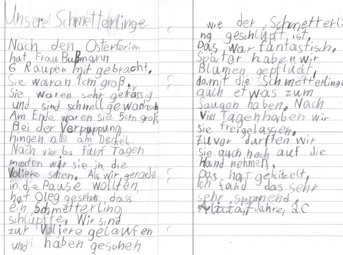 Alicia Schmetterlinge